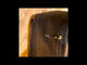 Outlet Taschen